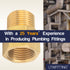 LTWFITTING Brass Pipe 1/2-Inch Female x 1/2-Inch Male BSP Adapter Fuel Gas Air (Pack of 25)