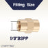 LTWFITTING Brass BSP Pipe Fitting 1/8-Inch Female BSPP Coupling Water Boat (Pack of 25)