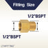 LTWFITTING Brass Pipe 1/2-Inch Female BSPP x 1/2-Inch Male BSPT Adapter Fuel Gas Air (Pack of 25)