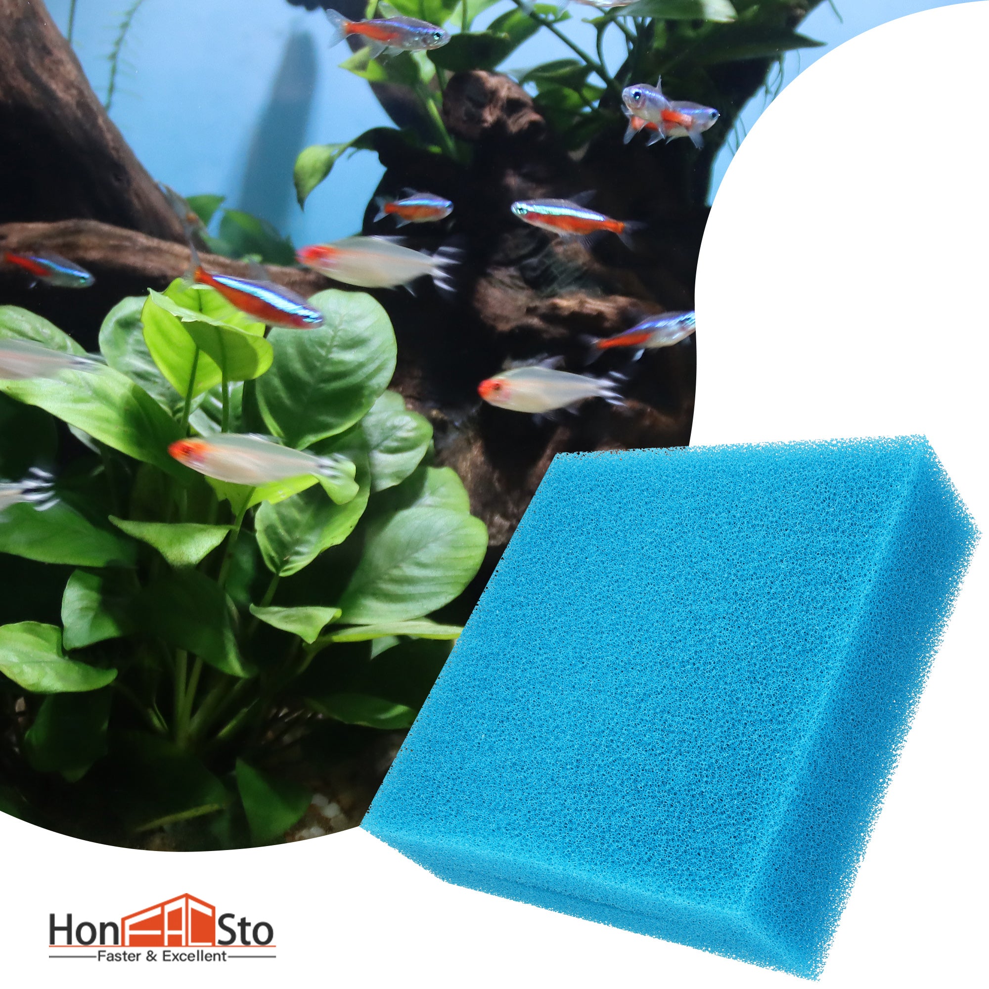 LTWHOME Compatible Replacement Coarse and Fine Foam Filter Sponge Fit for Oase Biotec 5/10/30 (3 x Blue Coarse and 3 x Red Fine Foams)