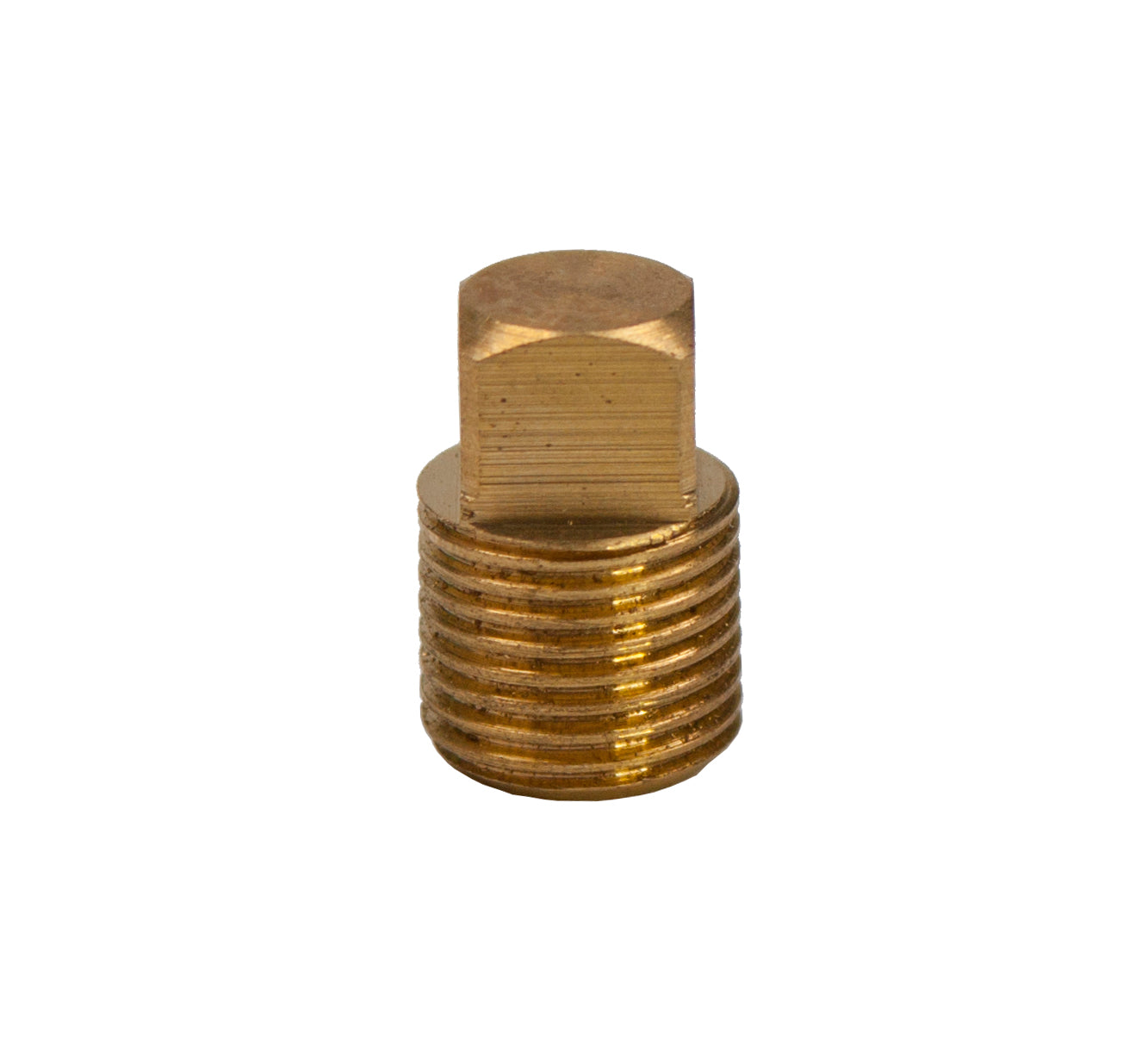 LTWFITTING Brass BSP Pipe Square Head Plug Fittings 1/8-Inch Male BSPP Air Fuel Water Boat (Pack of 1300)