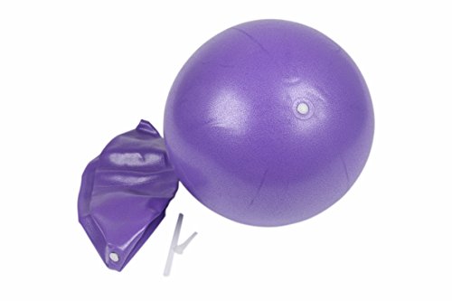 LTWHOME Pilates Yoga 9 Inch Purple Ball Fitness Over Ball Bender (Pack of 10)